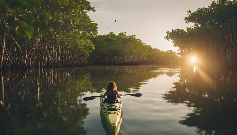 exploring florida s coastal wonders