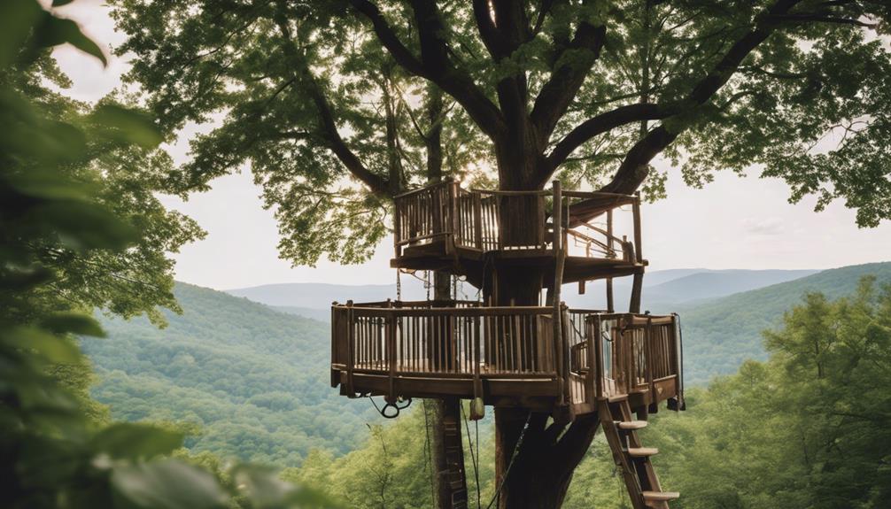 playful activities in trees