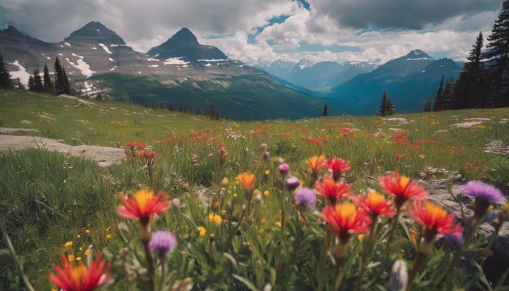 scenic mountain meadow beauty