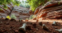 new fossils rewrite human origins