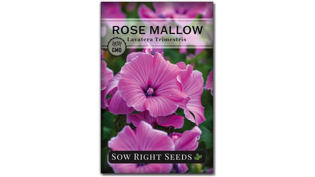 plant hibiscus rose mallow