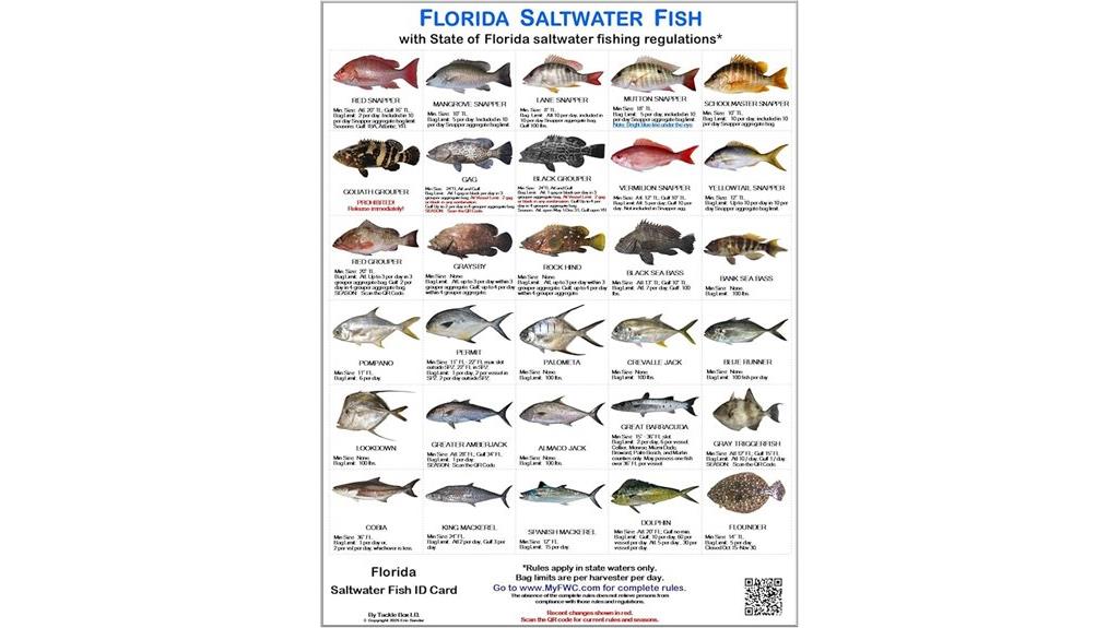 saltwater fish identification cards