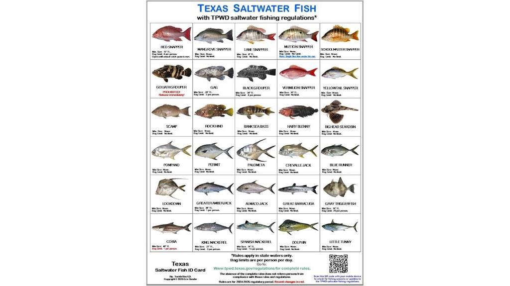 saltwater fish identification cards