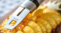 top stainless pineapple corers