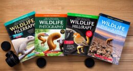 top wildlife photography guides