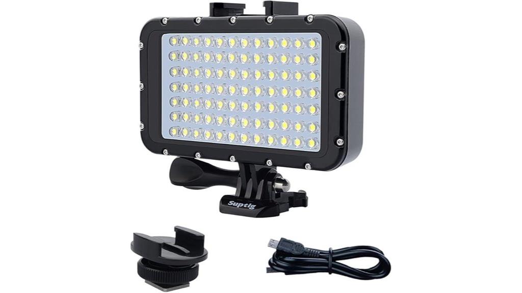 underwater camera dive light