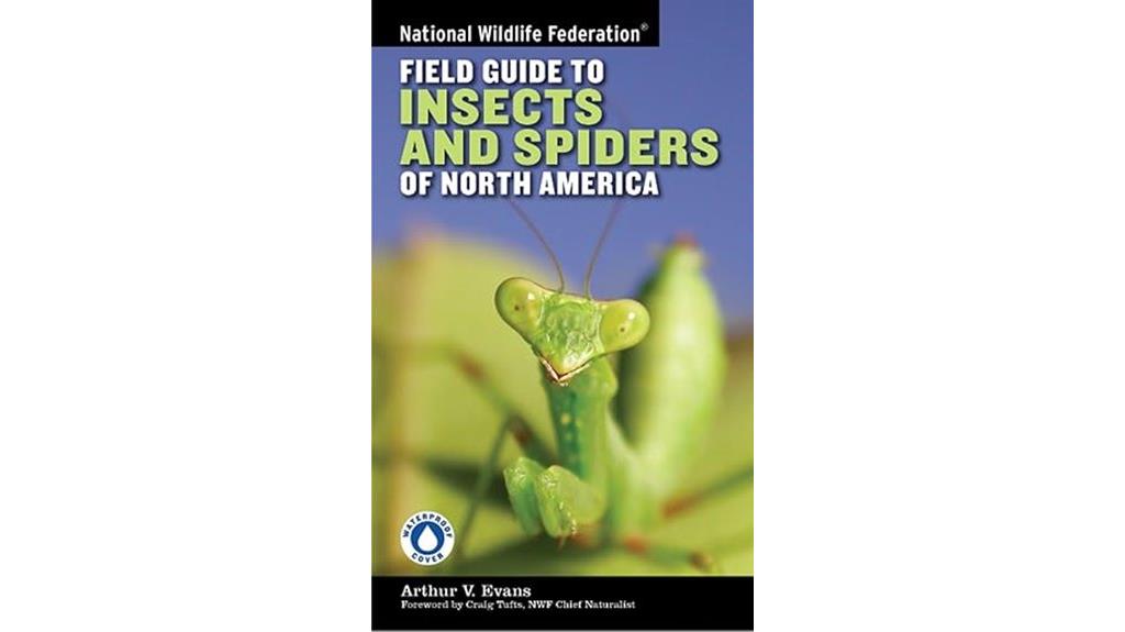 wildlife insect spider guide