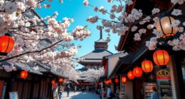 comprehensive japan travel tips