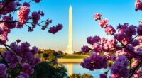 major washington sightseeing spots