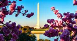 major washington sightseeing spots