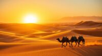 morocco s comprehensive travel insights