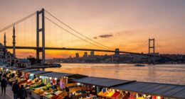 bridging continents cultures histories