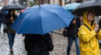 essential for unexpected weather
