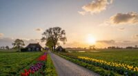 exploring beyond amsterdam