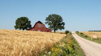 relaxed midwestern exploration