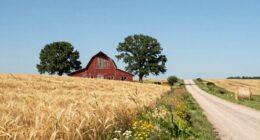 relaxed midwestern exploration