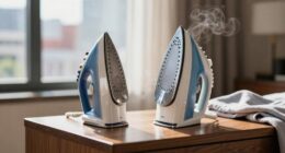 travel steamers vs irons