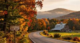 unique tennessee road excursions