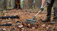 It’s Their Fault! Massive Wildfire This Summer…