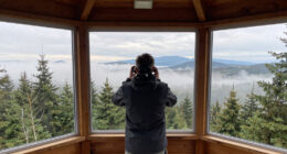 Drei Tote Im Harz Aussichtsturm