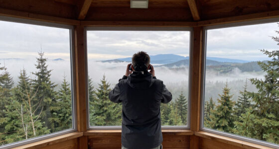Drei Tote Im Harz Aussichtsturm