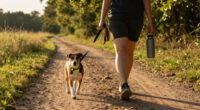 Best Gifts For A Dog Owner