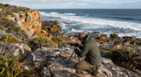 Kangaroo Island, Tasmania, Australia Surges In Global Coverage