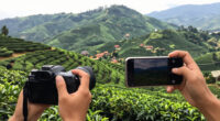 Mae Salong, Chiang Rai, Thailand Surges In Global Coverage