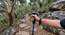Nattai National Park, New South Wales, Australia Surges In Global Coverage