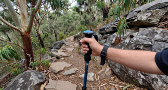 Nattai National Park, New South Wales, Australia Surges In Global Coverage
