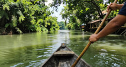 Near Hanoi, Visitors Paddle Through A ‘Mini Mekong Delta’ - Báo VietNamNet