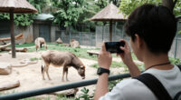 Zoologischer Garten Berlin