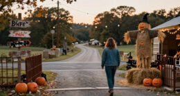 10 Best Halloween Decorations for Roadside Attractions in 2027