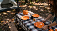 14 Best Halloween Camping Tableware in 2027
